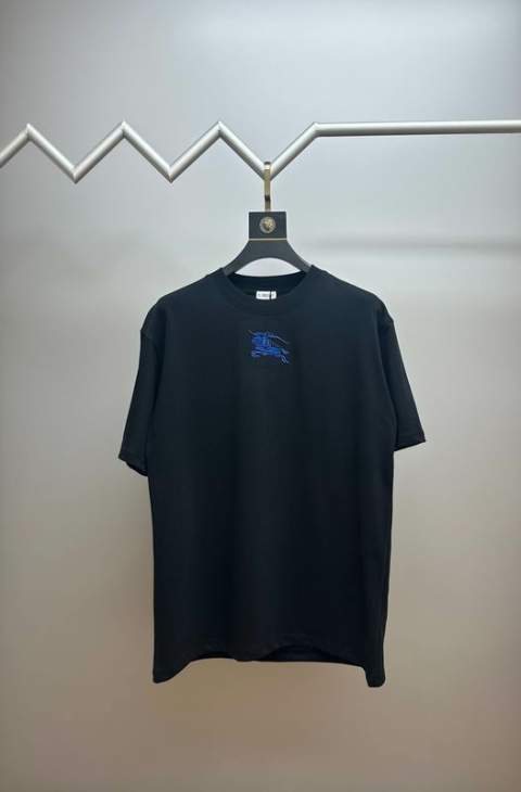Picture of Burberry T Shirts Short _SKUBurberryS-2XLtltx5819794